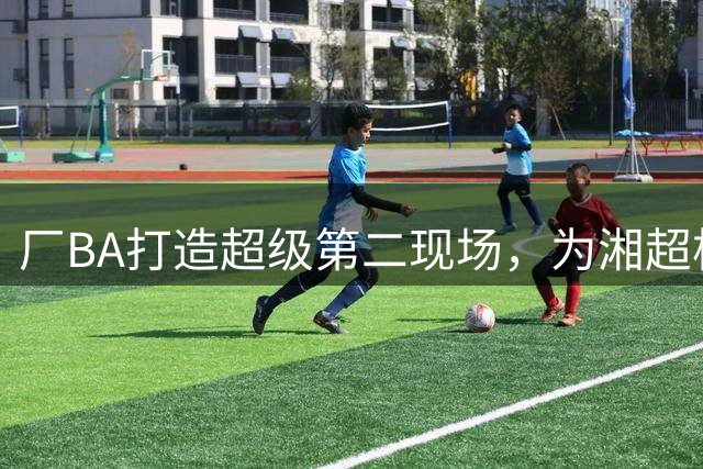 厂BA打造超级第二现场，为湘超株洲队加油！